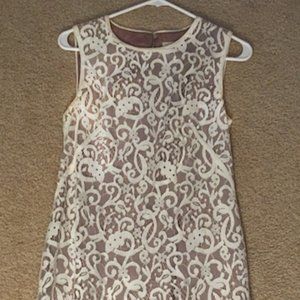 Loft Lace Dress (2 - Lace sheath dress)